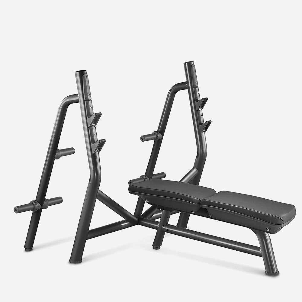 Exercise Bench