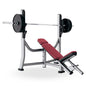 Life Fitness Olympic Incline Bench